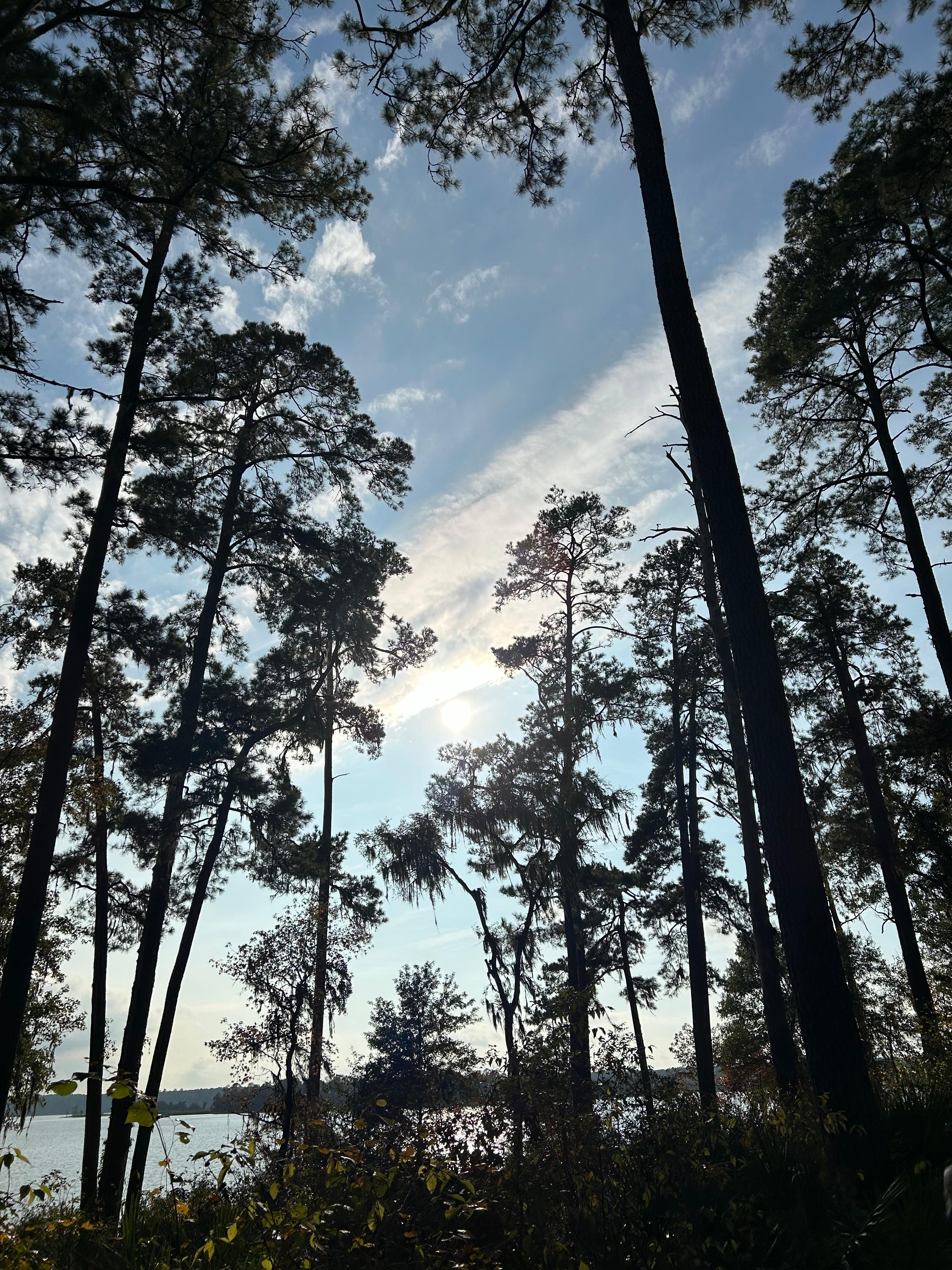 Sam Houston